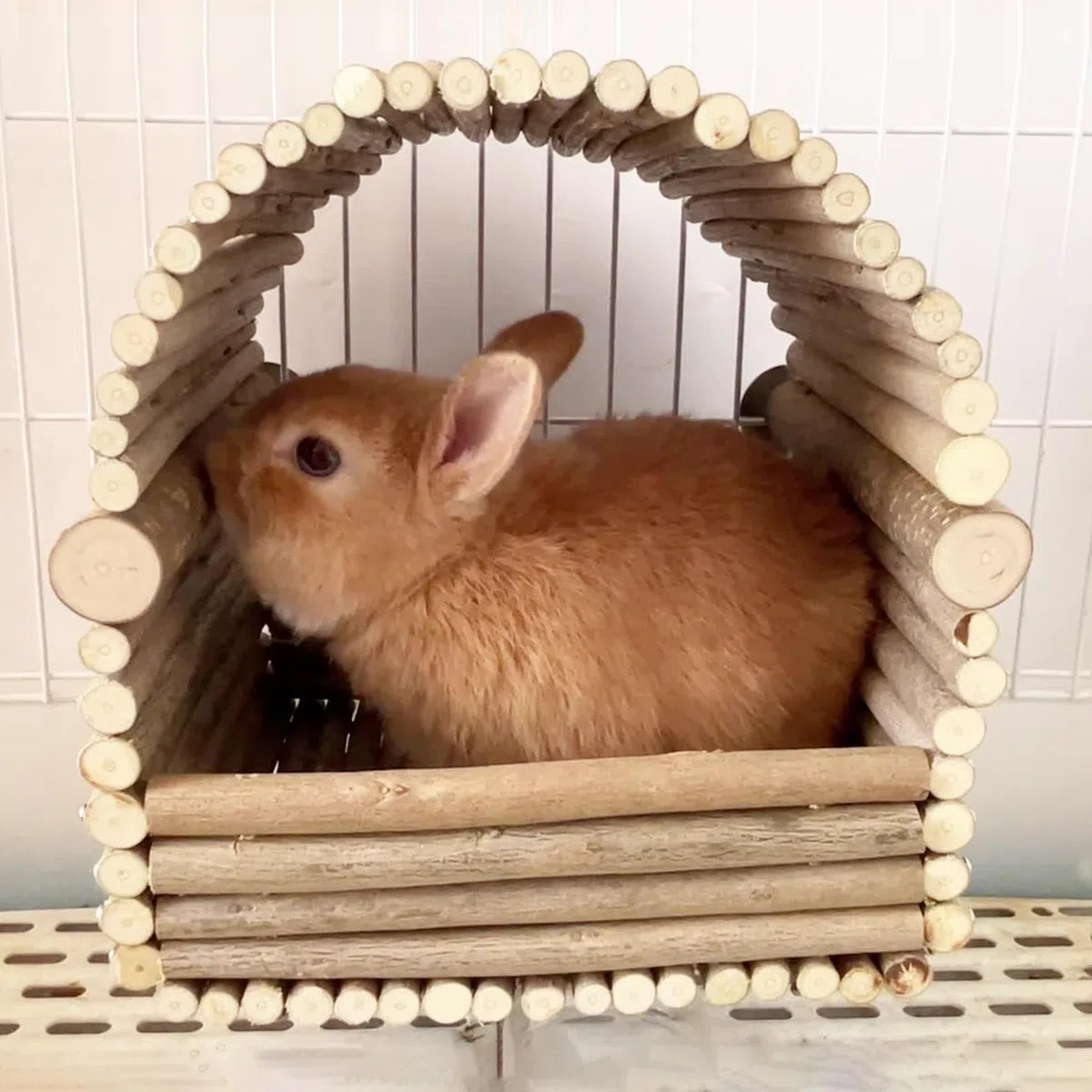 Nascondiglio per conigli in legno - rifugio per roditori in legno, nascondiglio rimovibile per digrignare i denti dei conigli | Casa per il riposo e il gioco degli animali per conigli, cincillà, crice