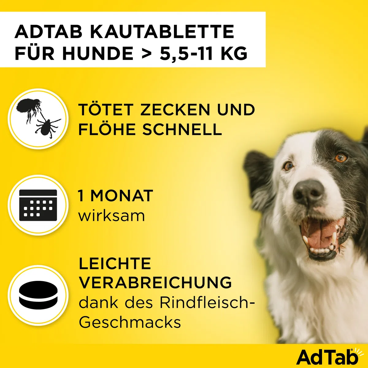 AdTab Compresse masticabili per cani di taglia media da 5,5 a 11 kg contro pulci e zecche