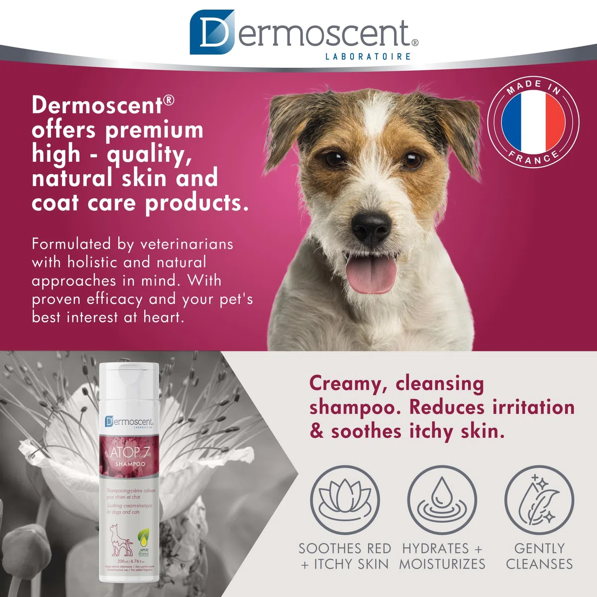 Dermoscent ATOP 7 Shampoo per cani e gatti - Allergie e sollievo dal prurito della pelle - Ingredienti naturali - Lenisce la dermatite e la pelle atopica - 200 ml