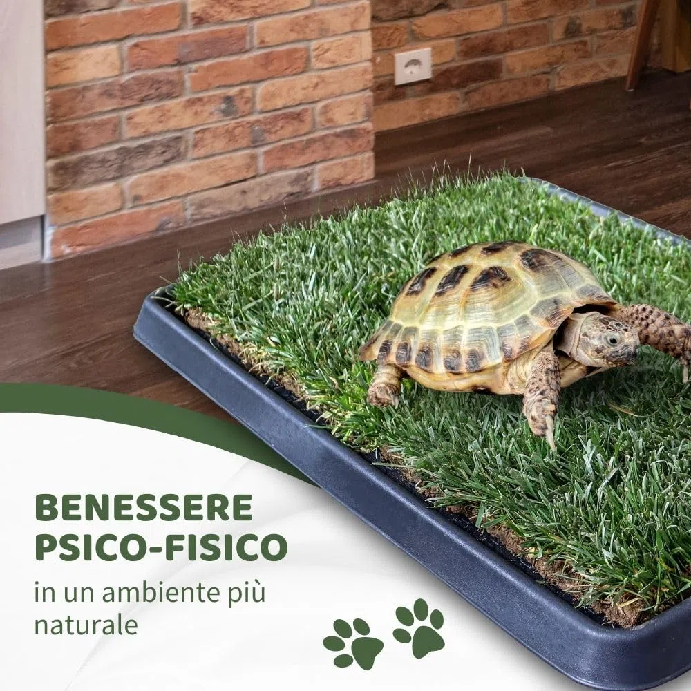 Ricarica S Tartarughe 60x40cm - Terrario tartarughe di terra in vero prato naturale, Ricambio facile da sostituire per il Kit S, casetta per tartarughe da interno dura fino a 5 mesi