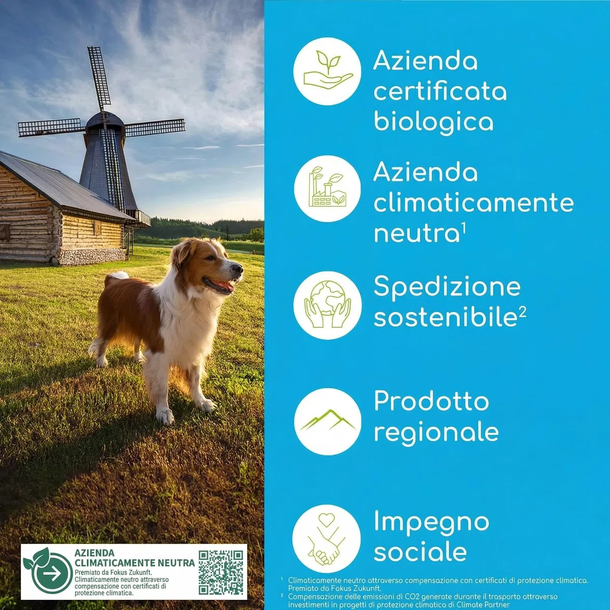 Rimuovi Tartaro per Cani e Gatti – Spray Dentale Naturale per la Pulizia dei Denti senza Spazzolino – Rimuove il Tartaro e Riduce l'Alito Cattivo – Alito Fresco con Menta 150ml