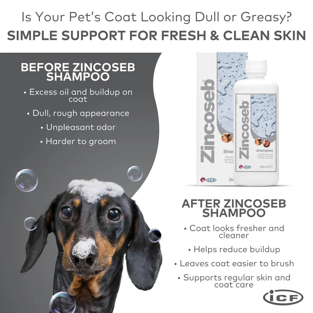 ICF | Zincoseb Shampoo per cani per alleviare il prurito della pelle + antimicotico + antibatterico per cani e gatti | Realizzato per animali domestici con pelle sensibile | 250 ml ICF | Zincoseb