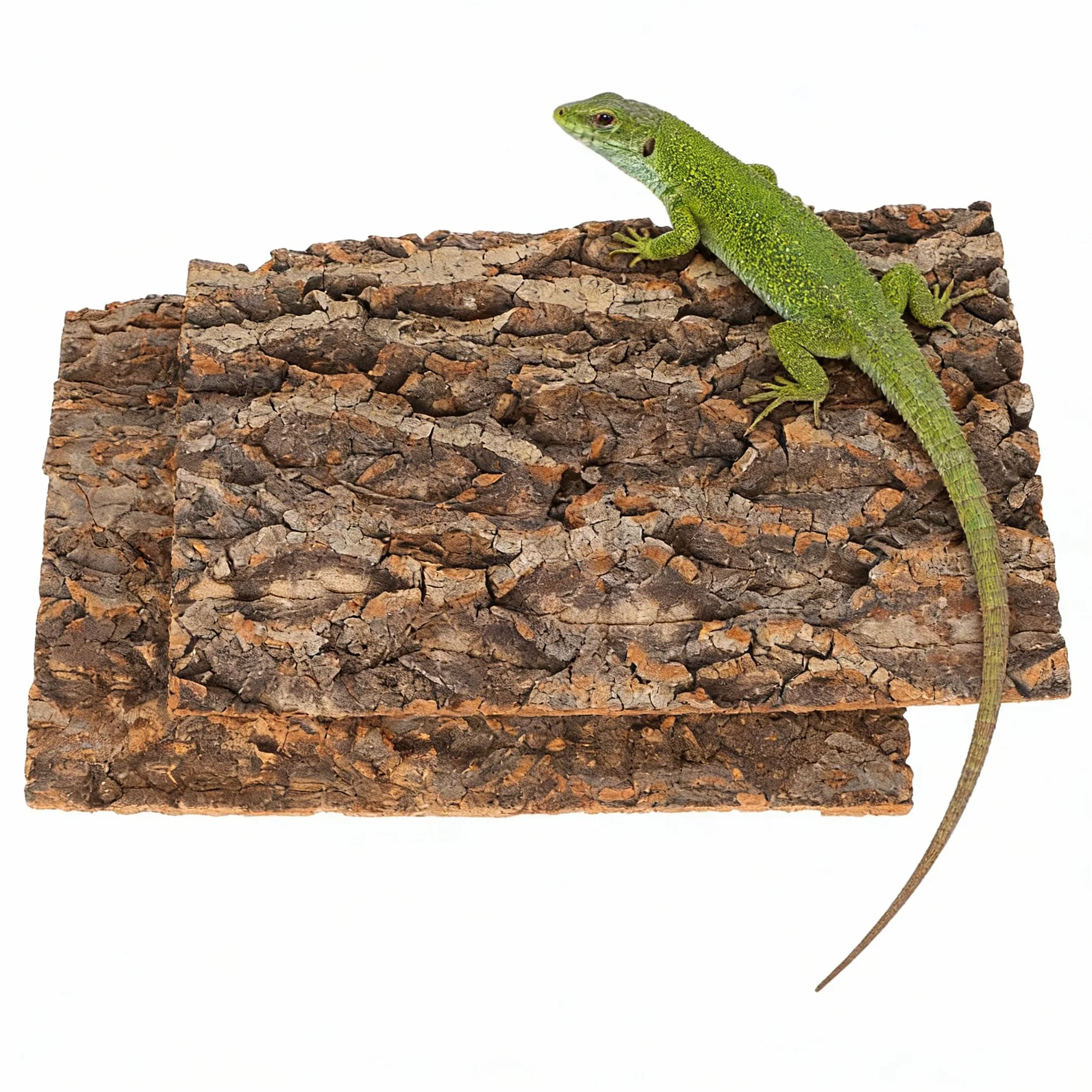 Zerodeko 2 corteccia di sughero naturale per terrario, 30 x 20 cm, decorazione naturale e piattaforma di arrampicata per rettili