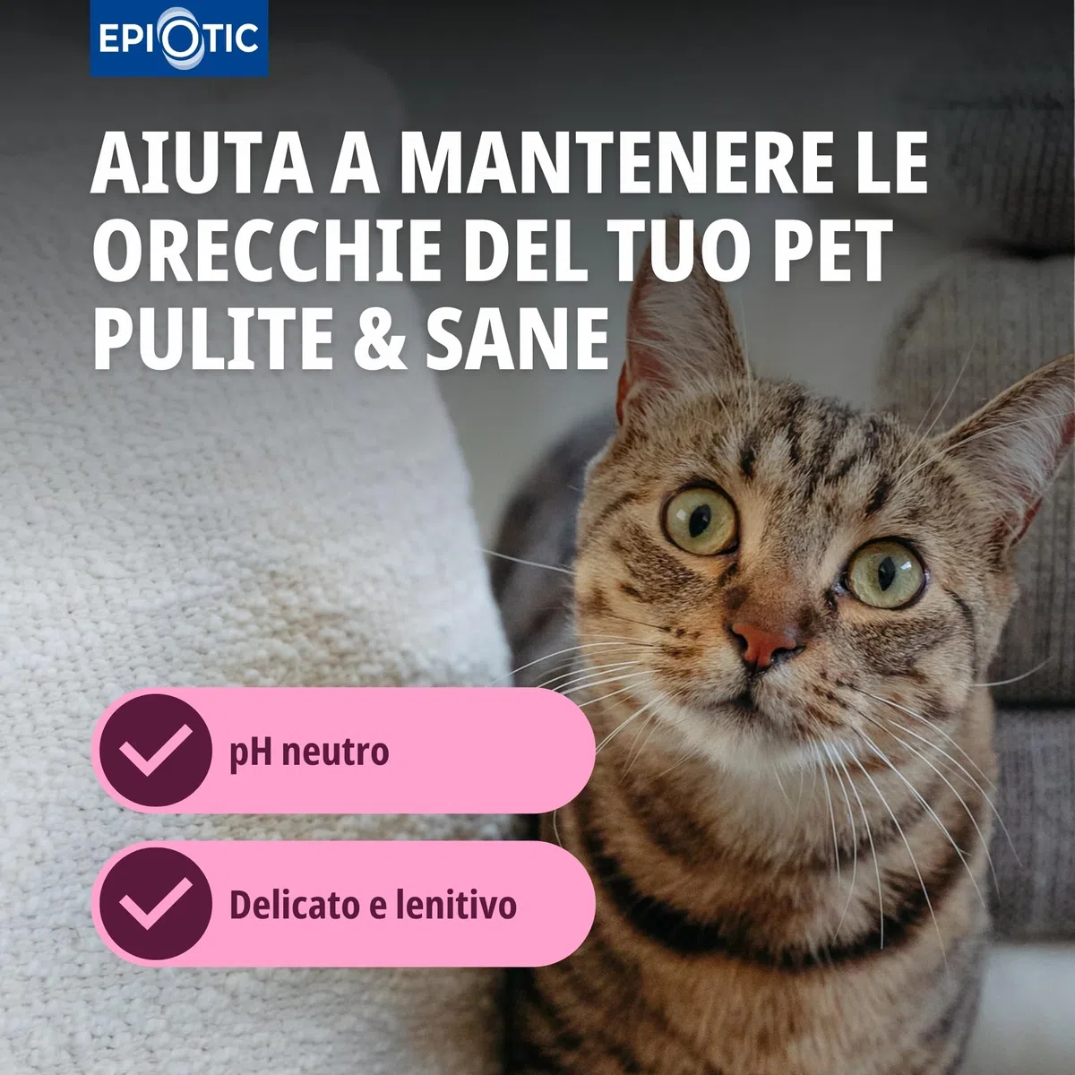 Virbac Epiotic Perro Gato sol 125Ml