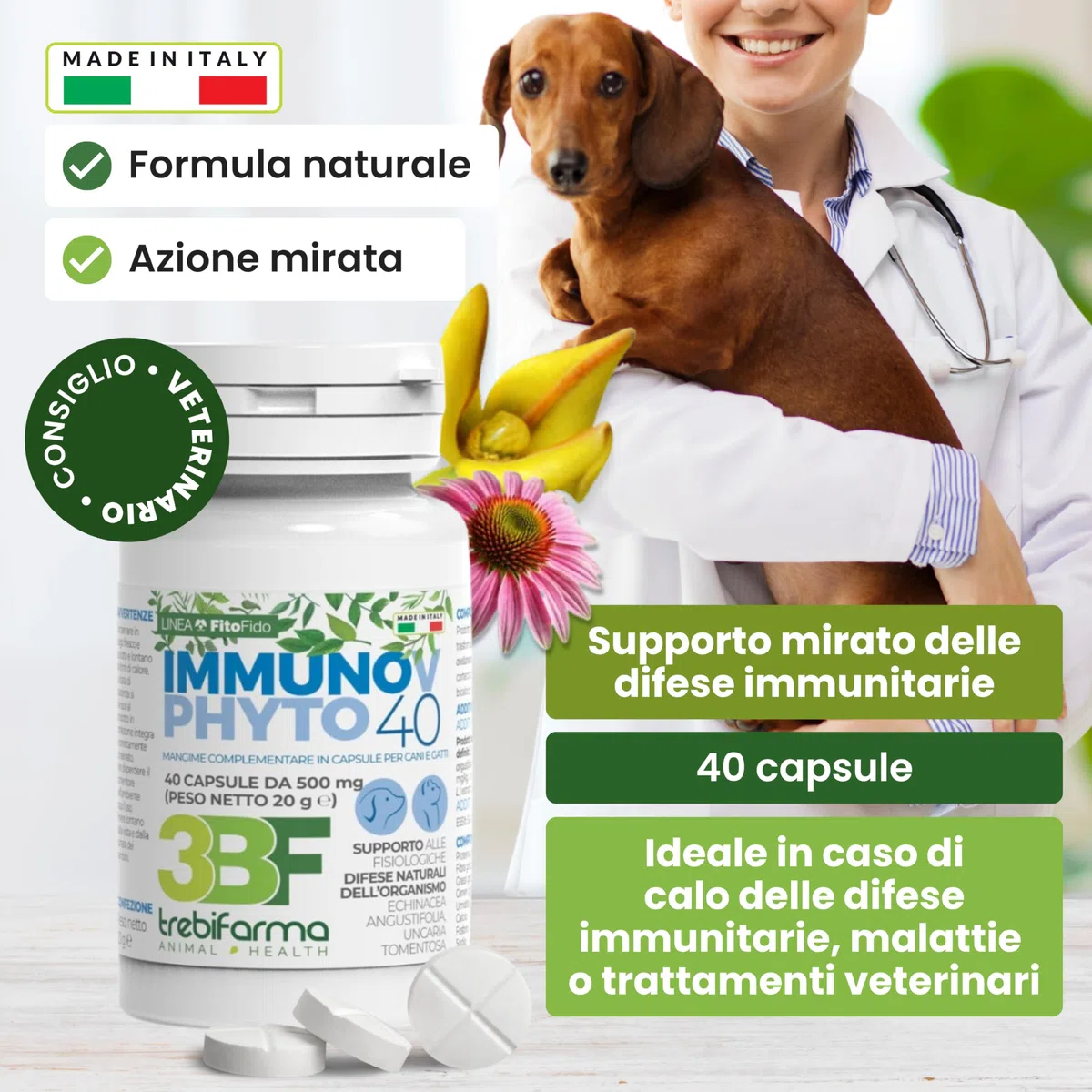 Trebifarma Immunov Phyto 40 Compresse per Cani e Gatti – Supporto Naturale al Sistema Immunitario – Mangime Complementare con Azione Immunostimolante, Facile da Somministrare