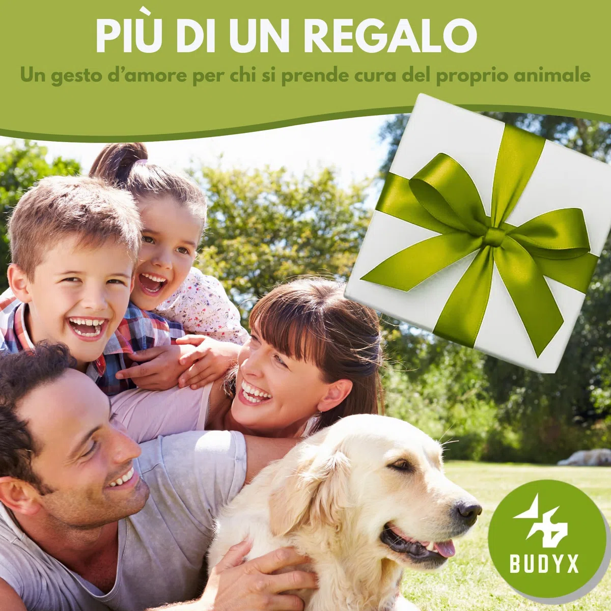 Kit per la toelettatura degli animali domestici BUDYX: pettini, spazzole, guanto per la toelettatura, tagliaunghie, lima per unghie, spazzolino da denti. Set per la toelettatura e l'igiene di cani