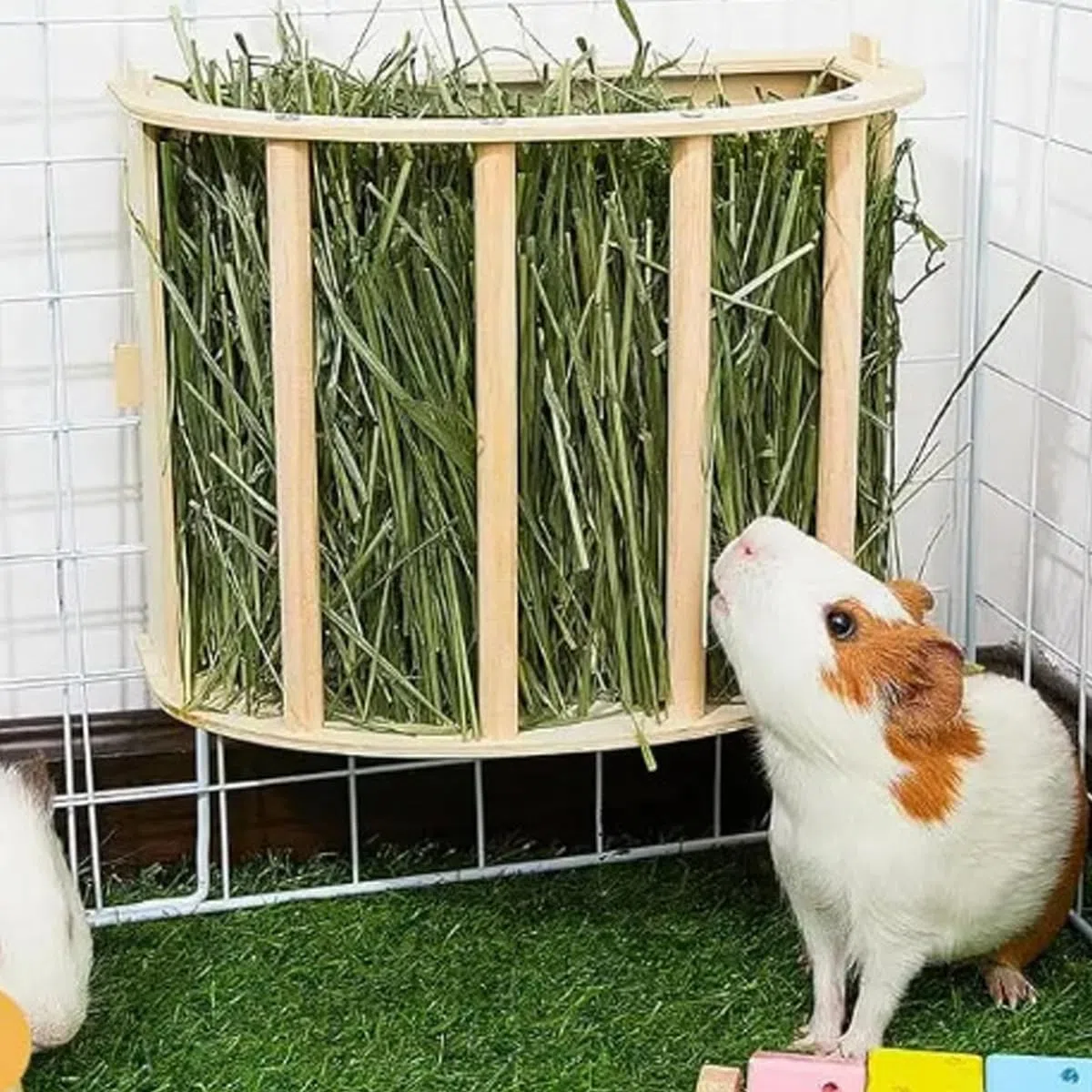 Mangiatoia per fieno in legno per piccoli animali, grande contenitore per fieno sospeso, adatto per conigli e porcellini d'India