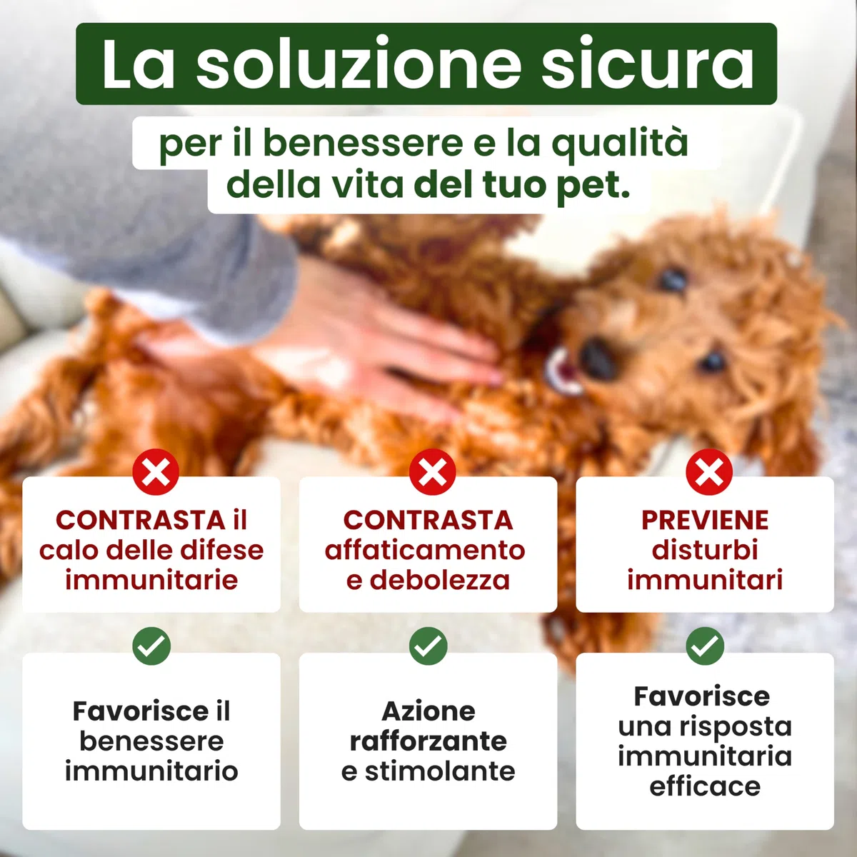 Trebifarma Immunov Phyto 40 Compresse per Cani e Gatti – Supporto Naturale al Sistema Immunitario – Mangime Complementare con Azione Immunostimolante, Facile da Somministrare