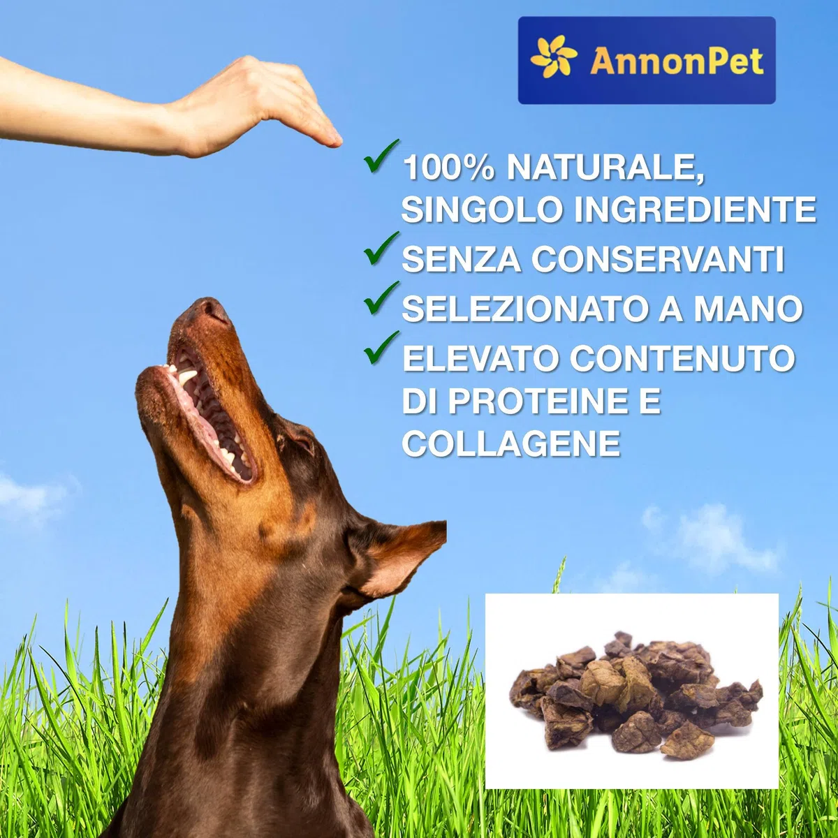 Polmone Essiccato per Cani 500g - Snack Naturale al 100%, Ricco di Proteine, Senza Additivi Ideale per Diete BARF, Premietti Bocconcini e Spuntini Sani Carne Secca di Manzo di Alta Qualità
