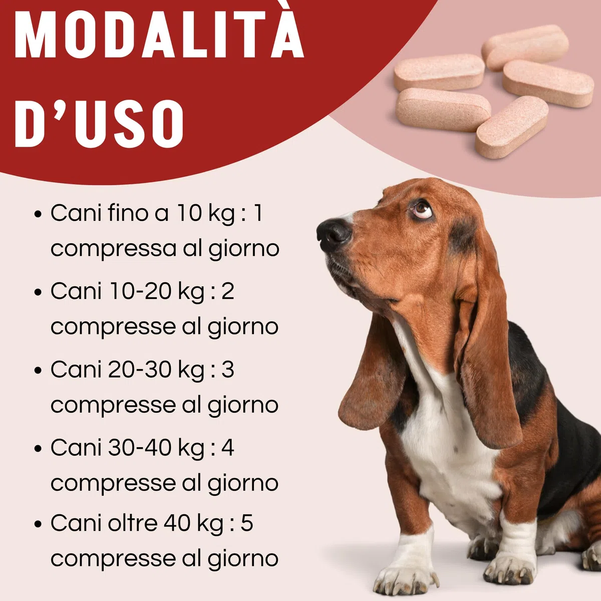 Motix-D Supporto Articolazioni Cane - Curcuma, Boswellia e Artiglio del Diavolo - Omega-3, Vitamine C/E - Supporto Naturale per Mobilità e Vitalità (60 COMPRESSE)