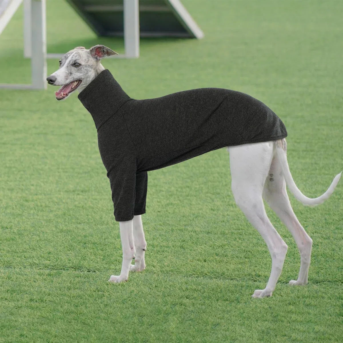 Maglione per Levriero, Giacca Levriero Pigiama Whippet Abbigliamento Levrieri Maglioncino Levriero(Grigio, M)
