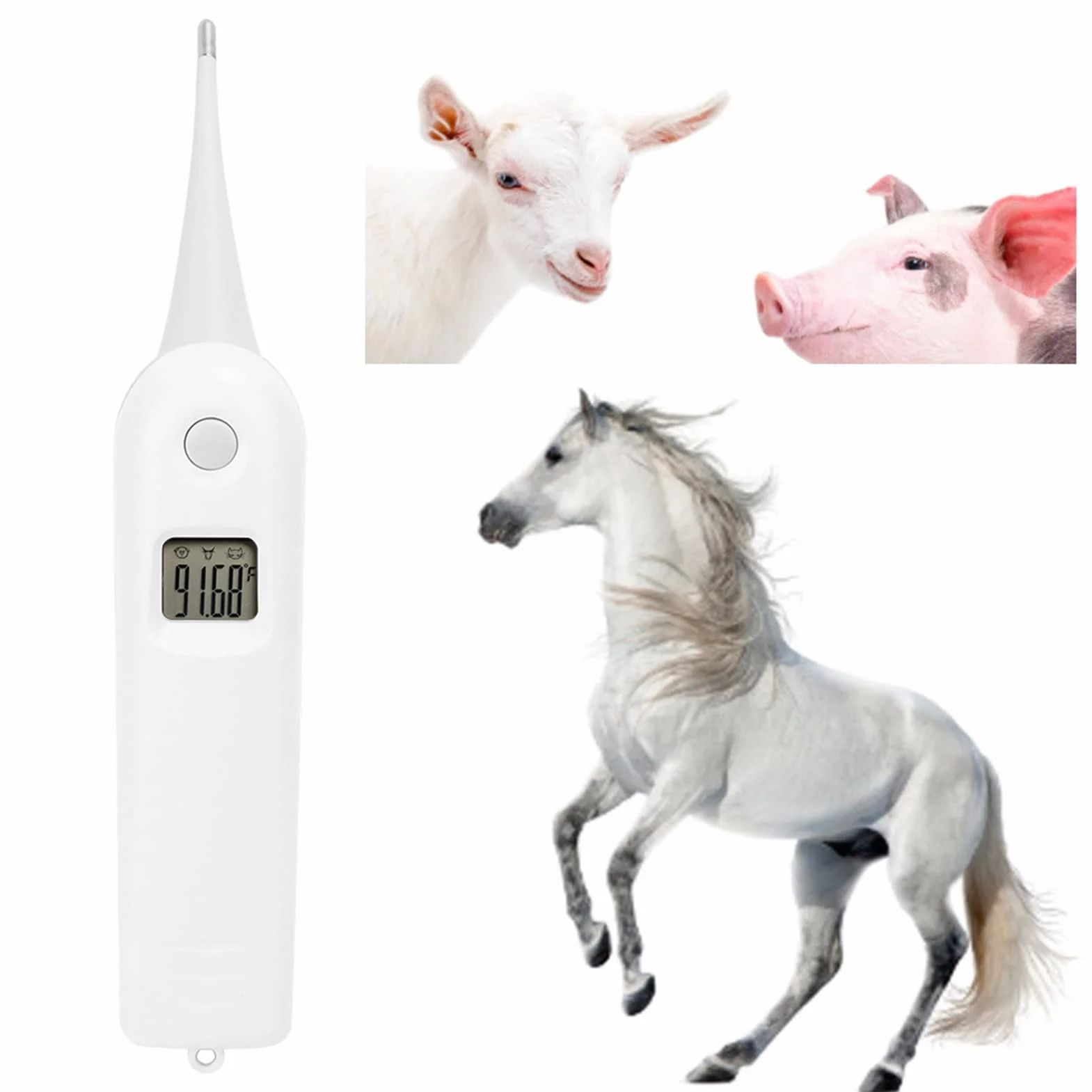 Tiiyee Termometro Per Animali Domestici, Digitale Domestici Gatti Acolari Cani Forniture Tecnologiche Veterinari Febbre Proprietari Cavalli Sonda Temperatura Flessibile Con Punta Tonda Impermeabile