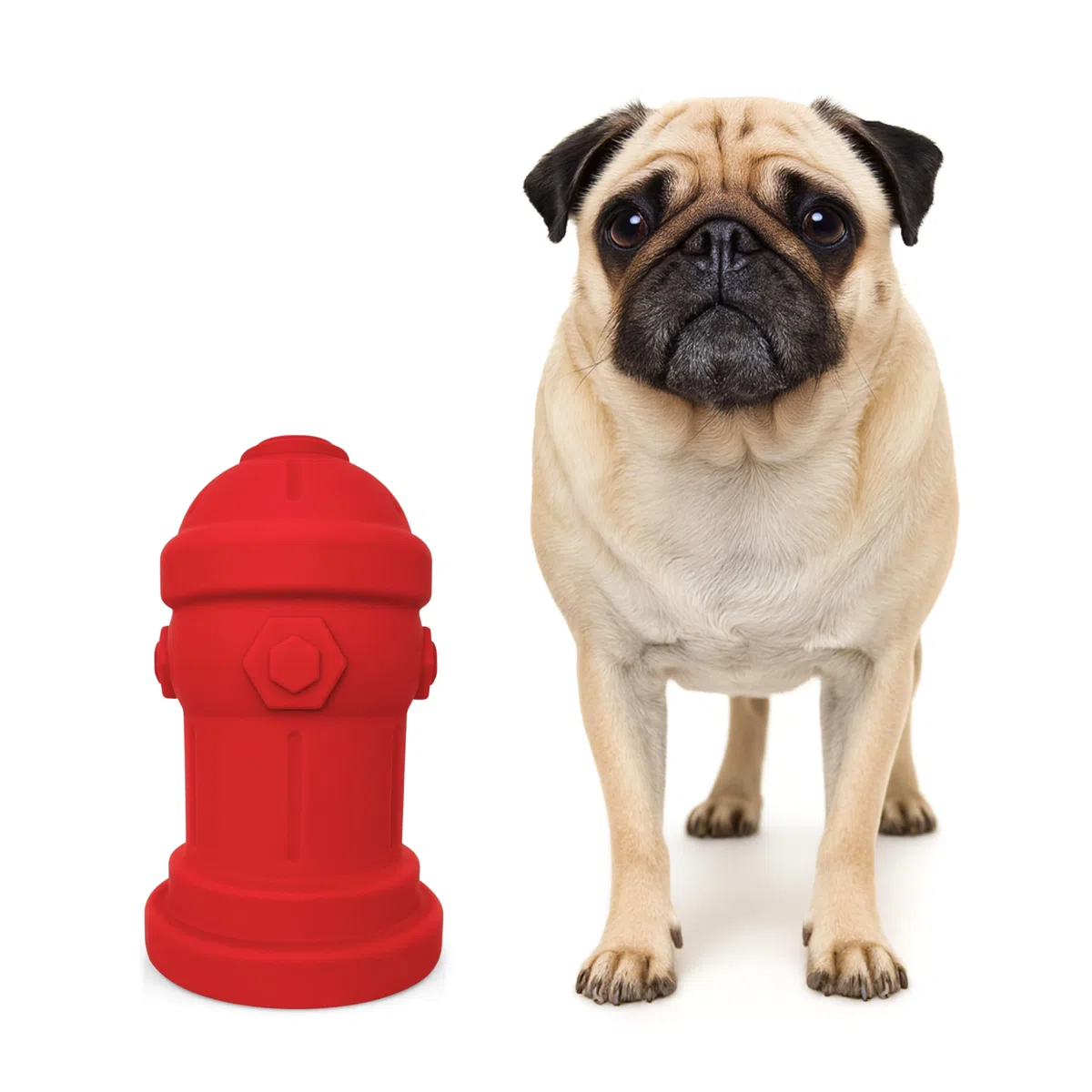 Bark Potty Idrante antincendio in Silicone per Cani Addestramento alla pipì per Cani Maschi Piccolo 10 cm L x 18 cm A