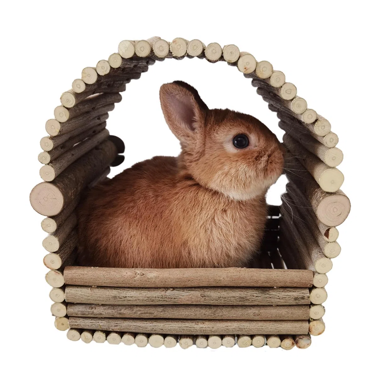 Nascondiglio per conigli in legno - rifugio per roditori in legno, nascondiglio rimovibile per digrignare i denti dei conigli | Casa per il riposo e il gioco degli animali per conigli, cincillà, crice