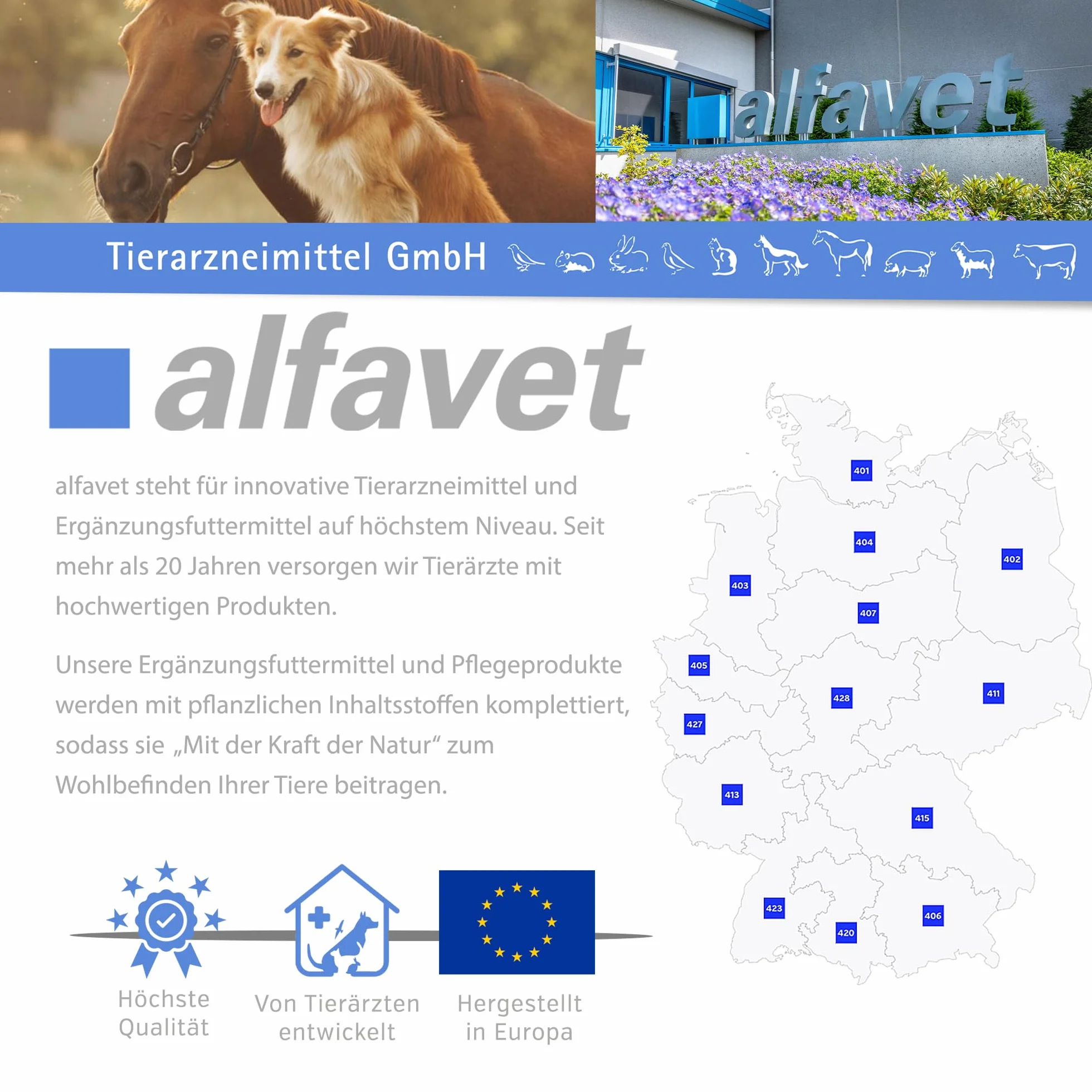 Alfavet RodiCare Hairball (3 x 12 ml) – Supporto nutrizionale per l’eliminazione naturale dei boli di pelo in conigli nani e porcellini d’India – con siringa dosatrice