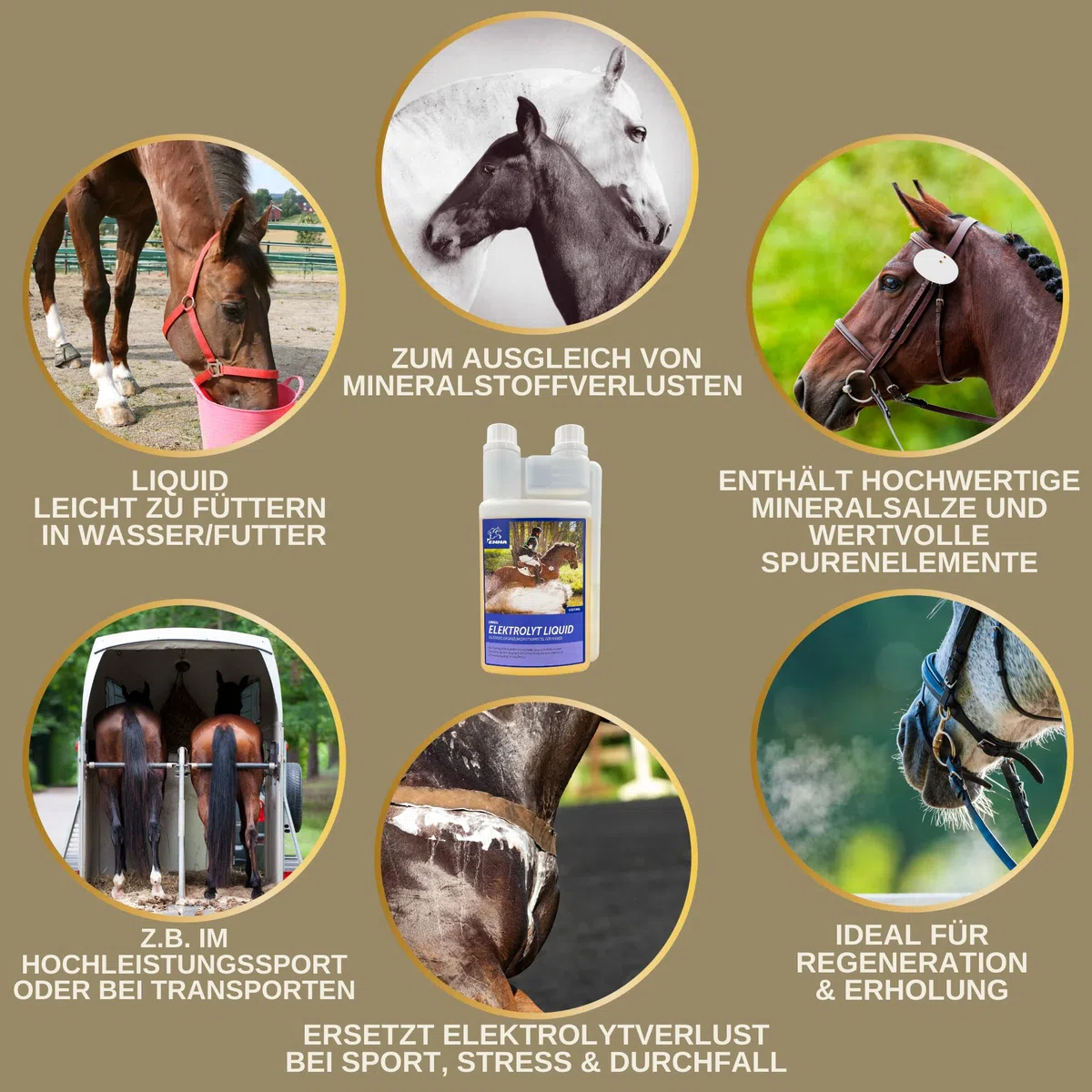 Elettroliti liquidi + pasta I elettroliti cavallo minerali vitamina B12 oligoelementi I sali di sodio magnesio cavallo I elettroliti diarrea vomito acqua sudorazione I sali minerali cavallo 1L 30ml
