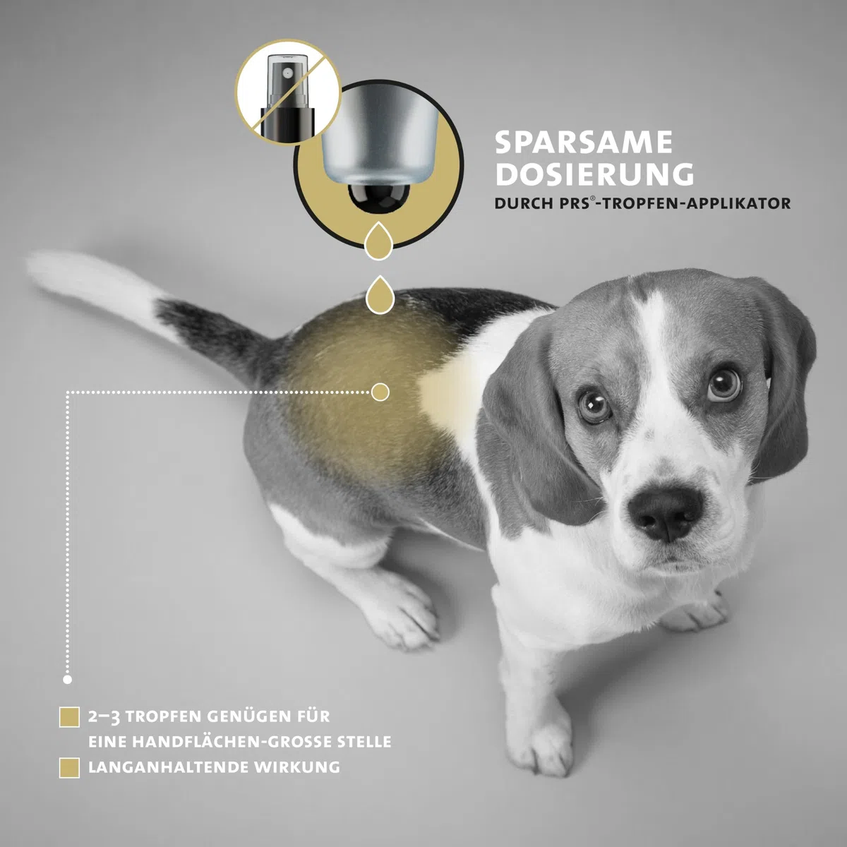 Peticare Lozione Acari Cani – Scudo Sollievo Immediato Prurito e Funghi – Senza Insetticidi – con Olio di Cocco e Camomilla – Cura Antiparassitaria