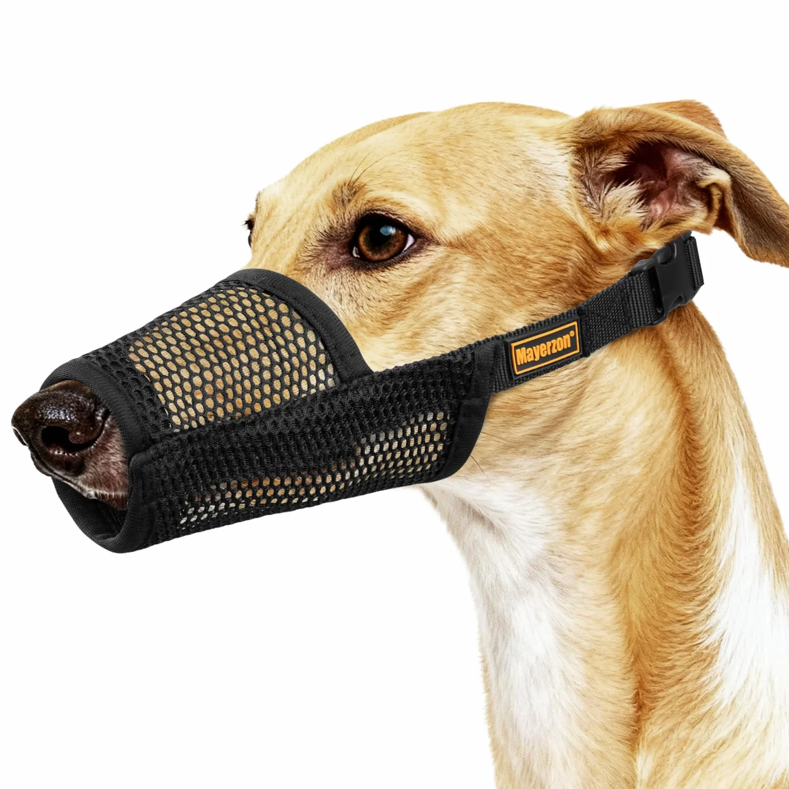 Mayerzon Museruola per cani a whippet per levrieri, museruola in morbida rete per cani a naso lungo per evitare morsi eccessivi da masticare, adatta per toelettatura, visite veterinarie, consente di