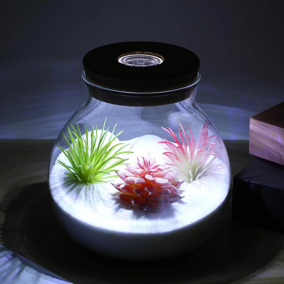 UKCOCO Bottiglia di vetro per paesaggio con coperchio, decorazione per matrimonio, in vetro borosilicato, ecologica, per terrari, fai da te, con micro paesaggio