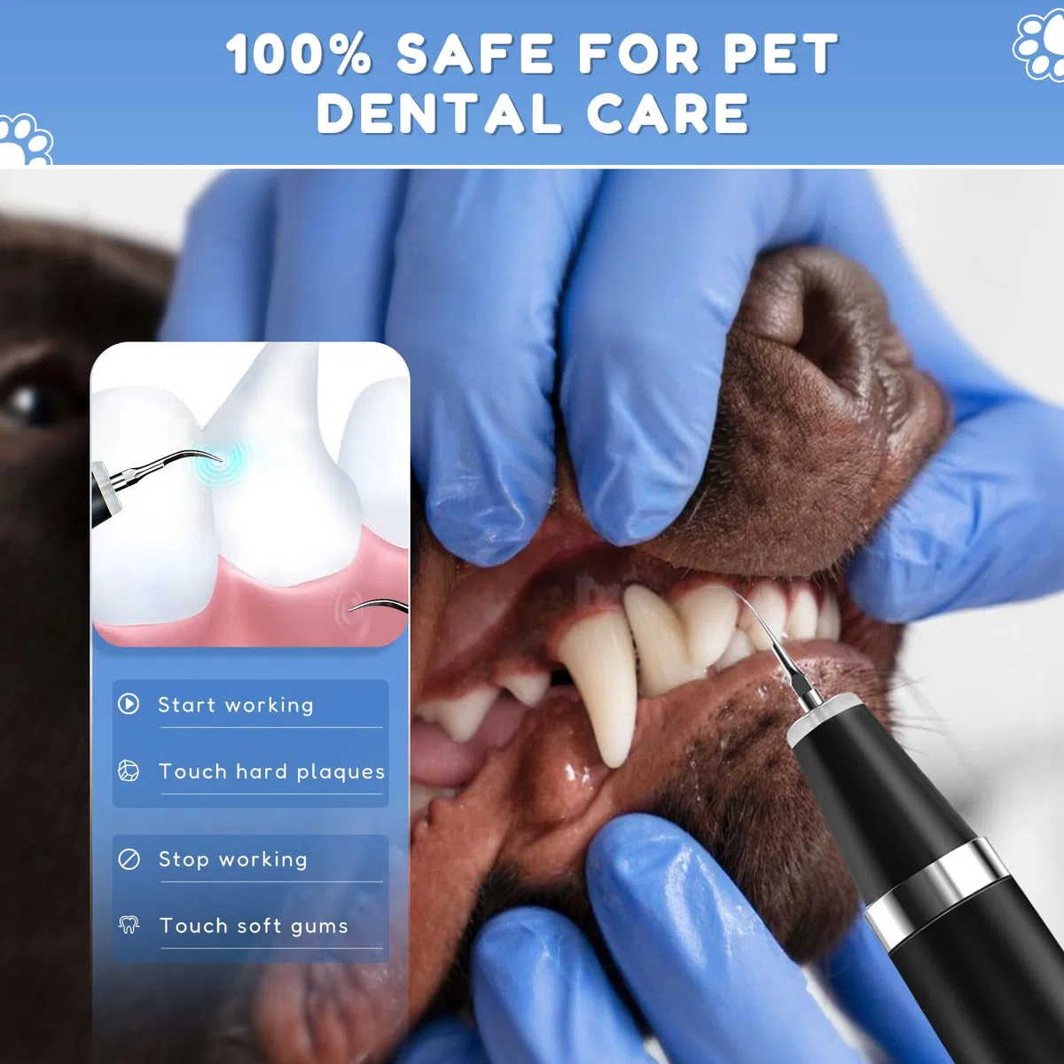 Kit di Pulizia dei Denti per Animali Domestici, Spazzolino da Denti ad Ultrasuoni con 5 Modalità, Kit di Rimuovere la Placca Tartaro per Denti per Cani e Gatti, Nero, JY-C006