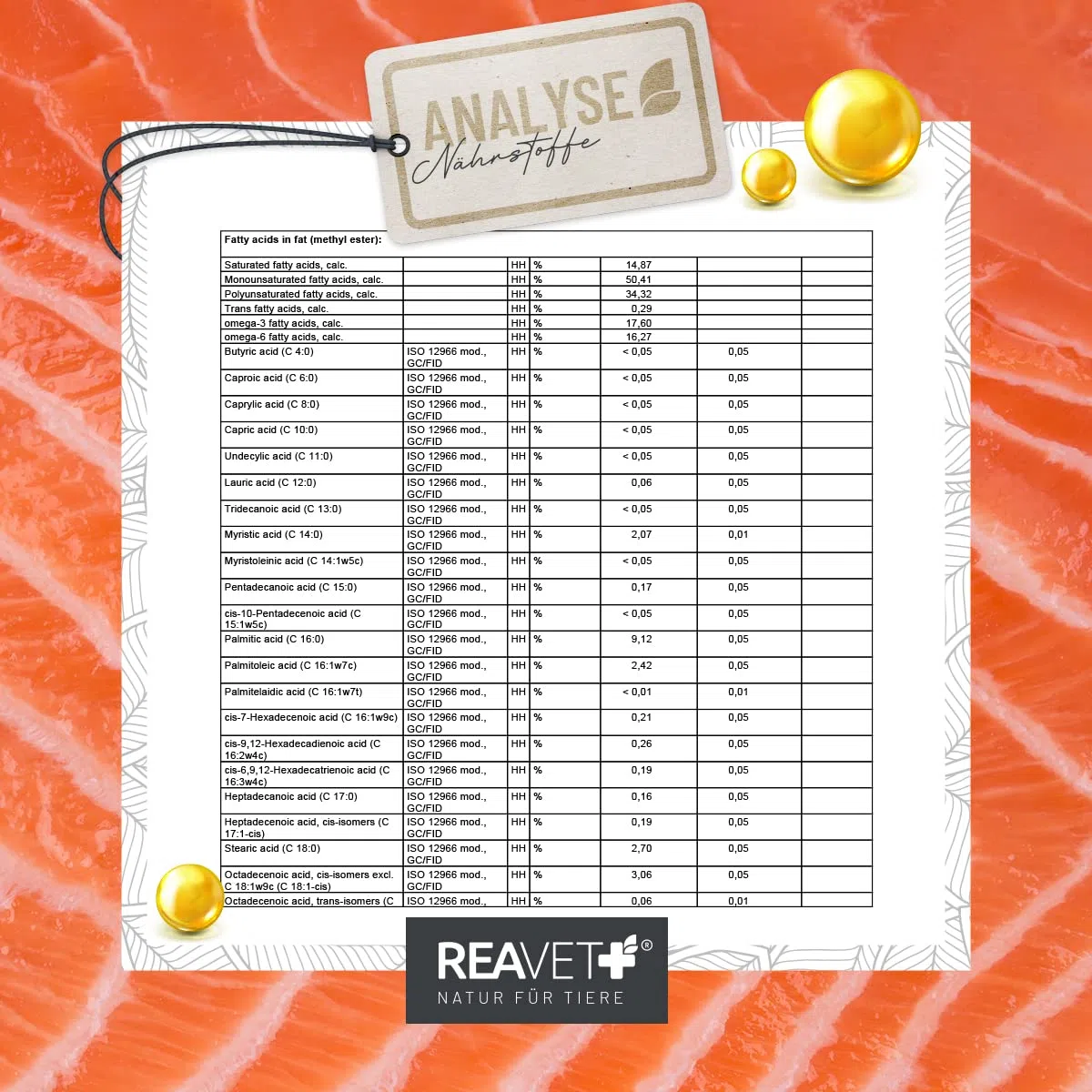 ReaVET Articolo di prova molto buono 02/24 olio di salmone per cani, gatto 250 ml – Ricco di Omega 3 & 6, olio di pesce cane ad alto dosaggio, qualità alimentare senza additivi, fresco imbottigliato