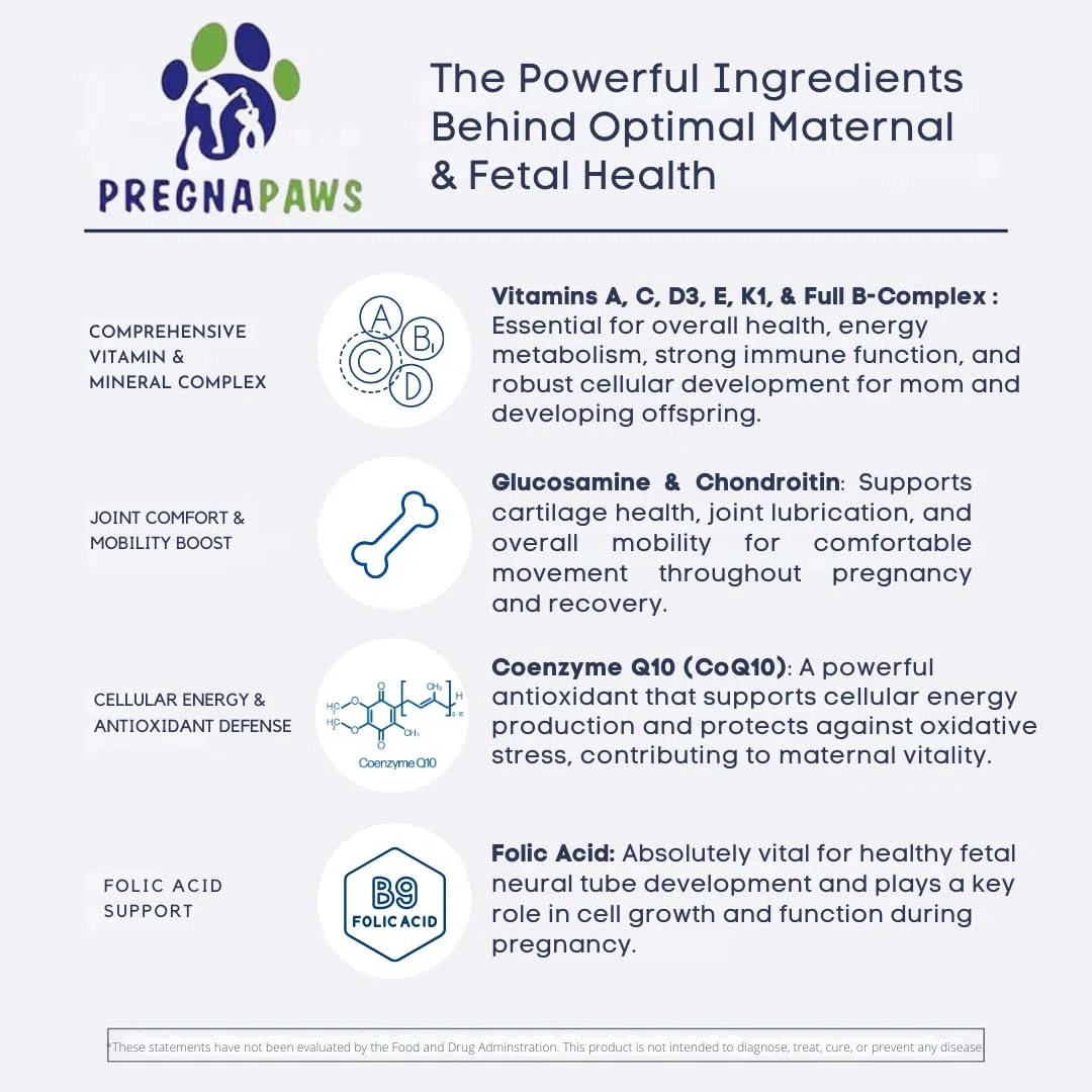 Vitamine prenatali e postnatale per cani e gatti – Integratore con acido folico, biotina, CoQ10, probiotici, glucosamina e vitamine essenziali – Supporta gravidanza, allattamento e recupero – 90 ct