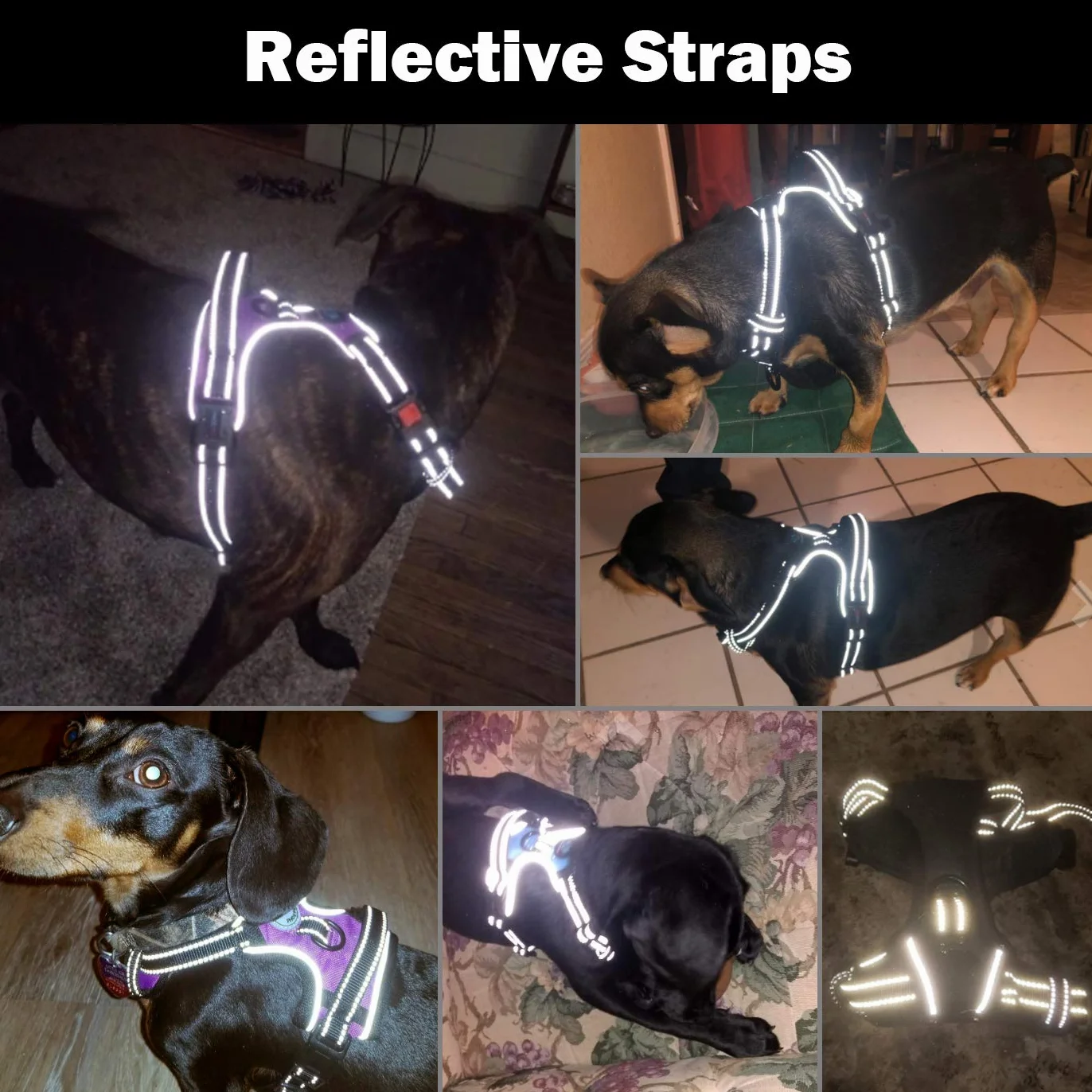 PHOEPET - Pettorina per cani anti-tiro, regolabile, riflettente, con manico per addestramento, tasca per nome, 2 ganci per guinzaglio in metallo, 3 fibbie a scatto, facile da indossare, S, celeste