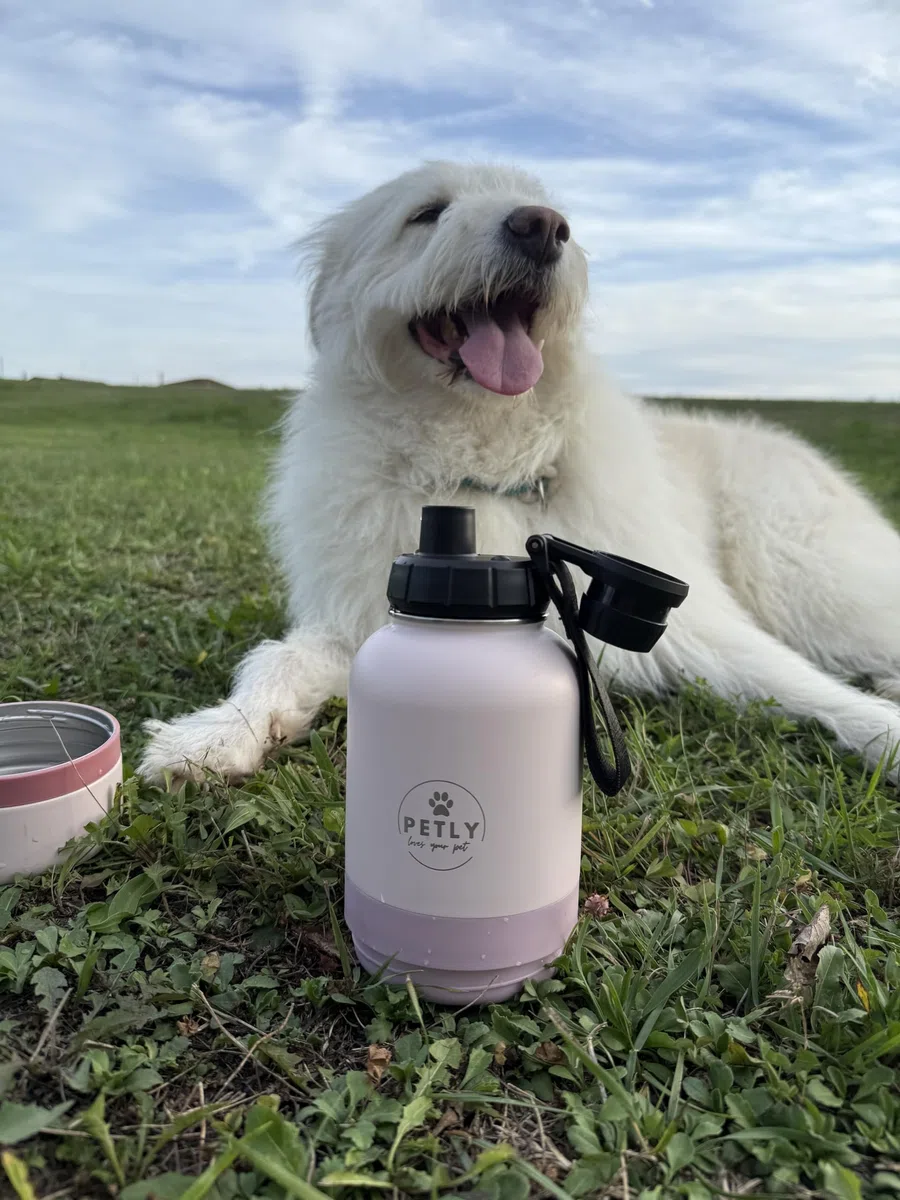Bottiglia Portatile per Animali da Viaggio, Per Cani da Viaggio, Borraccia per Acqua e Cibo, Bottiglia da Viaggio con Doppio Scomparto Acqua e Cibo 1000 ml (Rose, L)
