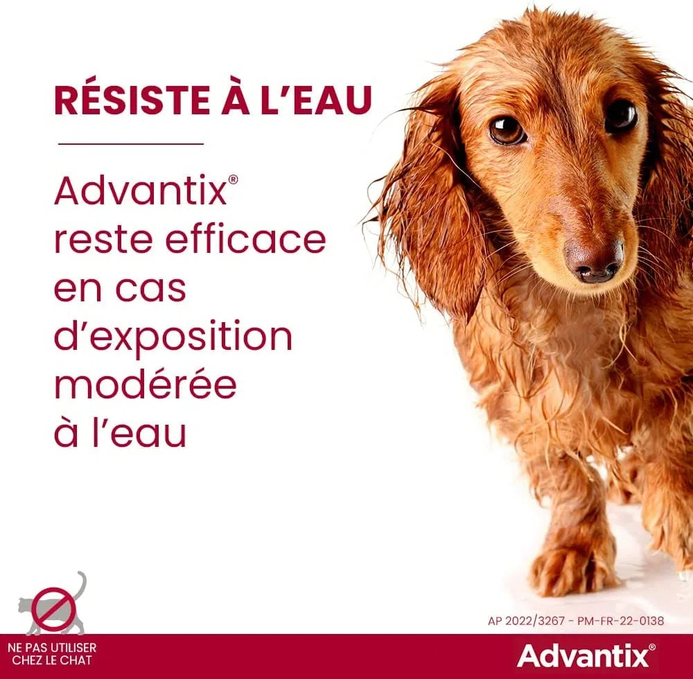 advantix spot 10-25 kg 4 pipette