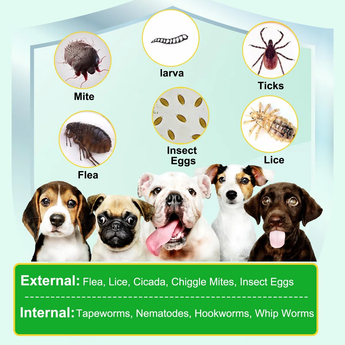 Masticabili Per La Prevenzione Di Pulci E Zecche Per Cani, Compresse Morbide Tick Shield, Integratore Naturale Pillole Orali Facili Da Usare Per La Protezione Contro I Parassiti(375G,150Masticabili)