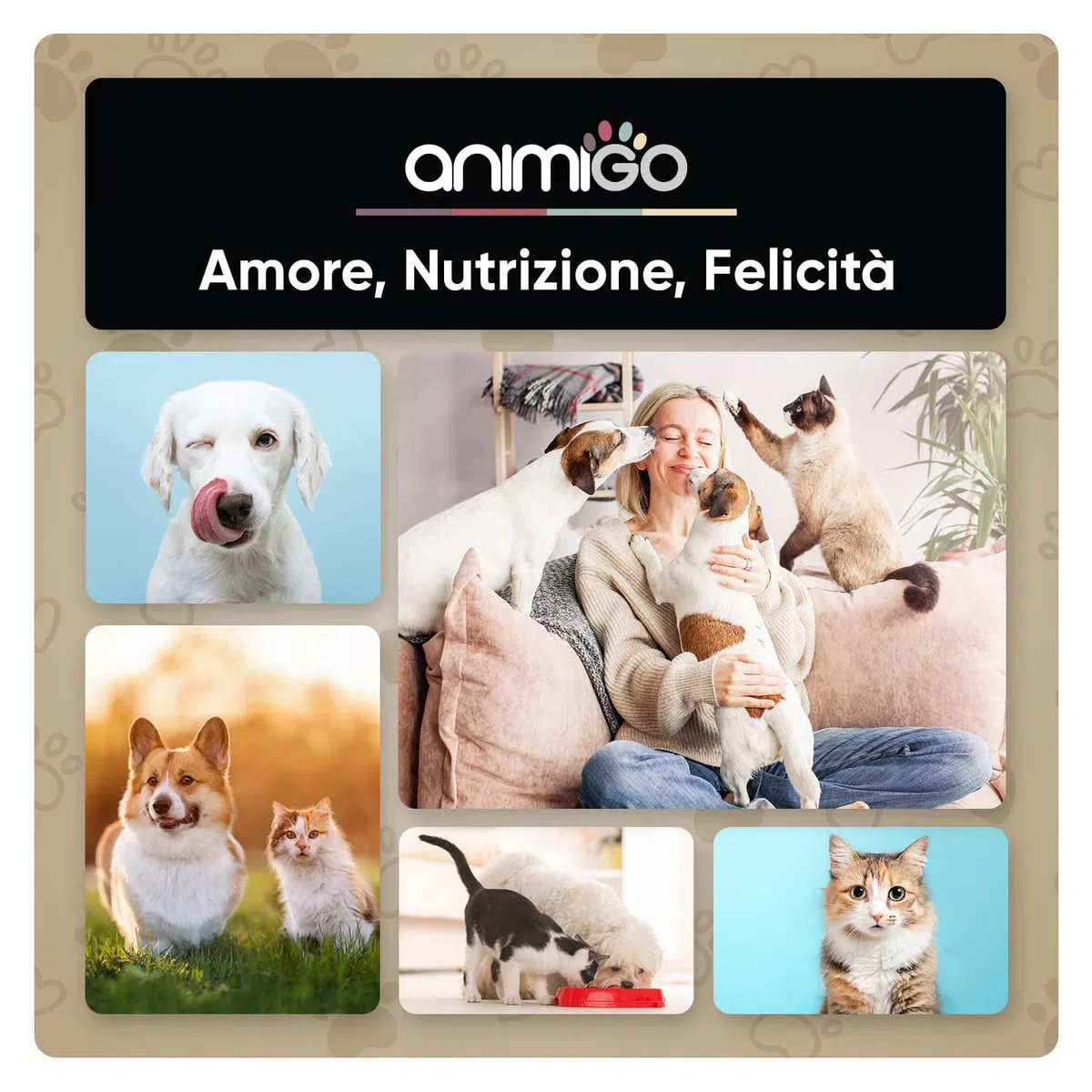 Balsamo per Cani e Gatti 500ml, Oli Minerali, Olio di Cocco, Avocado, Sciogli Nodi Pelo Cane e Gatto Lungo, Corto, Balsamo Cani per Toelettatura, Fragranza di Lavanda, PH Neutro, Vegano, con Dosatore