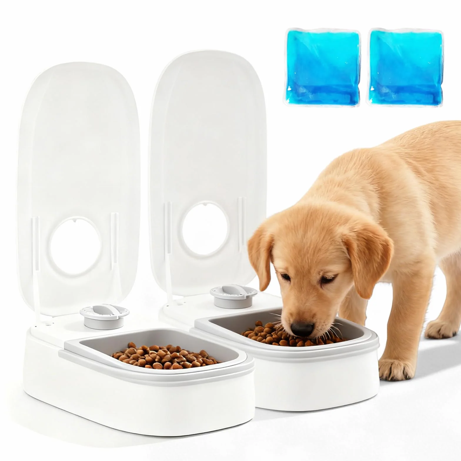 Distributore automatico di cibo, 350 ml*2 mangiatoie automatiche, 2 pasti, mangiatoia automatica per gatti, cibo secco e umido, timer di 48 ore, mangiatoia automatica per gatti e cani