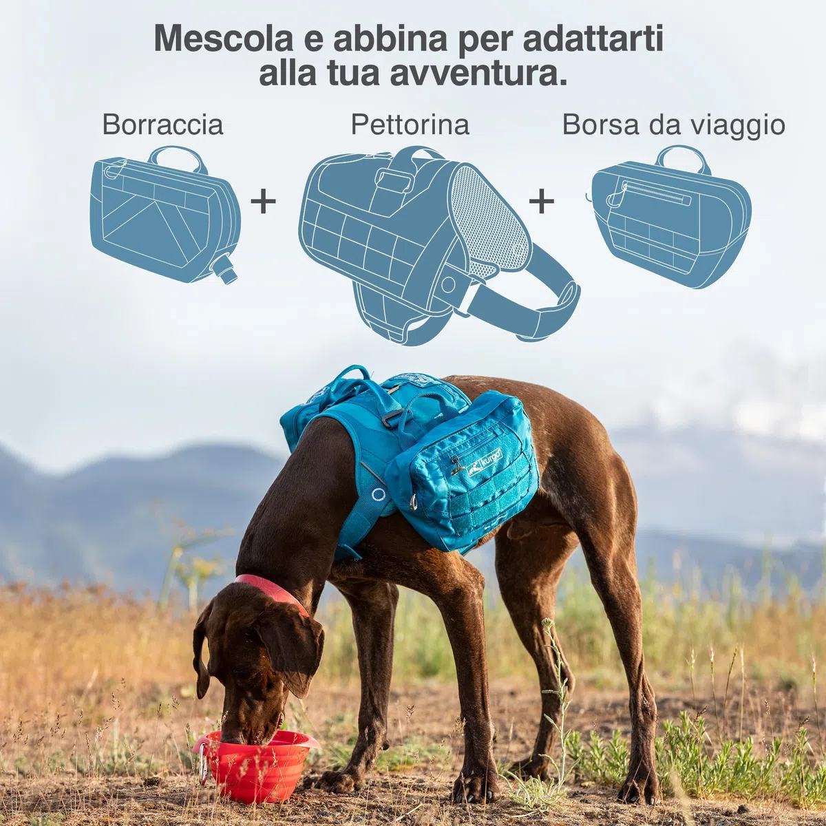 Kurgo RSG - Kit di Primo Soccorso per Cani - Formato Compatto per Attività all’Aperto e Trekking con Custodia Compatibile MOLLE e Tasca ad Apertura Facile