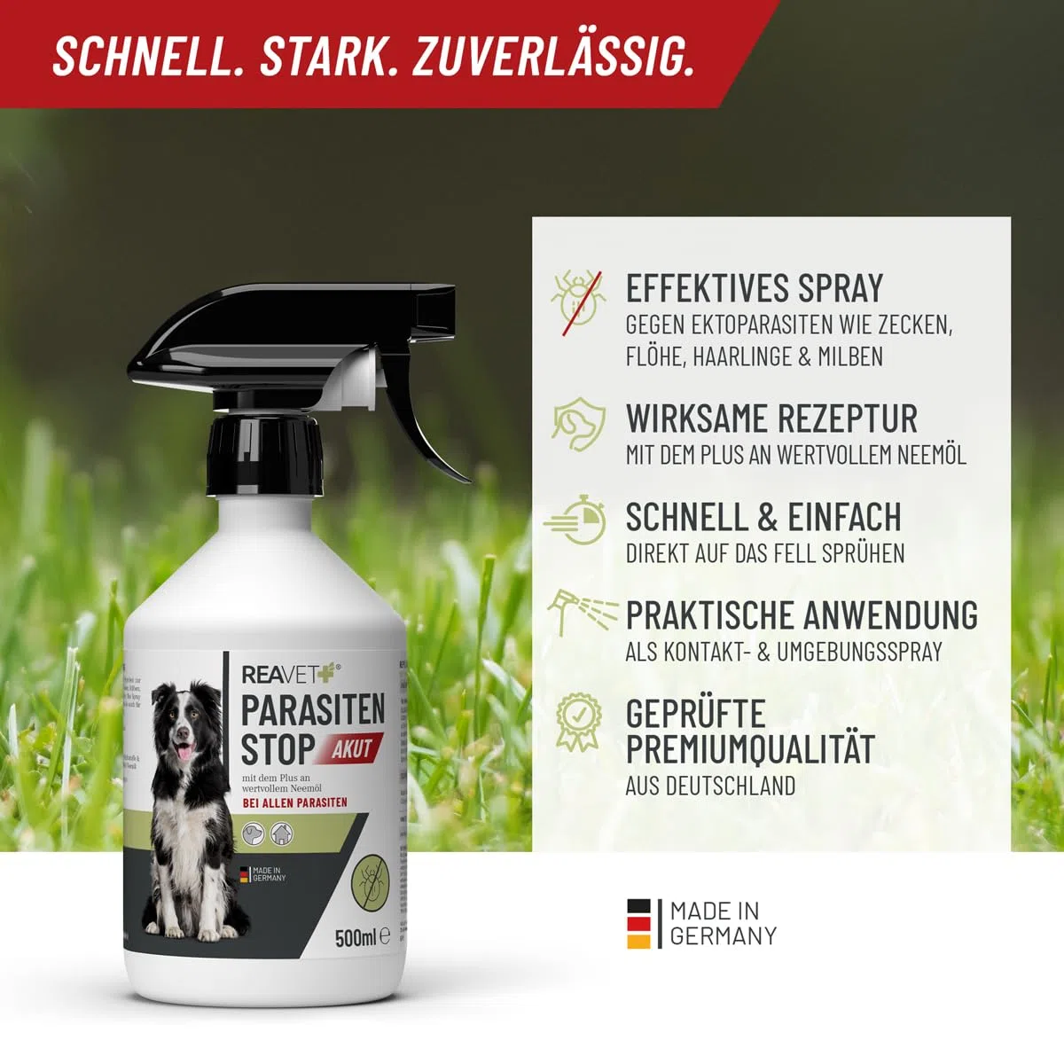 ReaVET Parassiti Stop AKUT – contro tutti i parassiti per cani e ambienti animali, 500 ml, spray per insetti – Protezione affidabile da zecche, pulci, acari, capelli e ectoparassiti