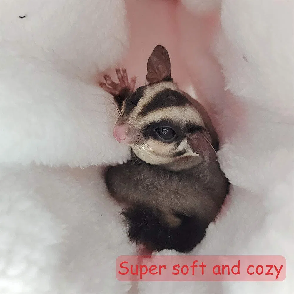 Oncpcare Tunnel da appendere per piccoli animali, giocattoli da criceto, zucchero, amaca, accessori per biancheria da letto per chinchilla furetto scoiattolo, porcellino d'India, ratto