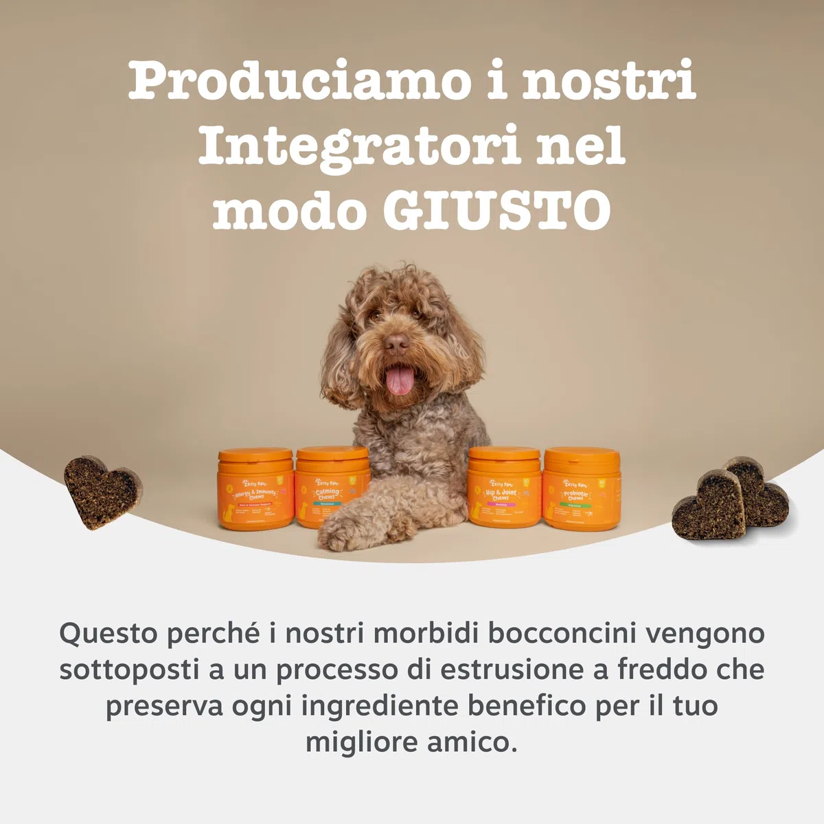 Zesty Paws Probiotici per Cani – Supporta Salute Intestinale, Digestione – con Pre, PRO e Postbiotici, Zucca e Semi di Lino – Equilibrio Digestivo – 90 Bocconcini