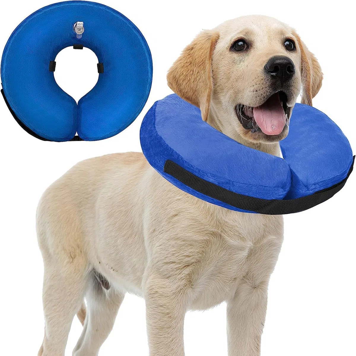 Collare Collare Protettivo Gonfiabile per Cani e Gatti, Collare Gonfiabile Cane con Velcro Regolabile, Collari Gonfiabili di Base per Cani per il Recupero Che Non Bloccano La Vista