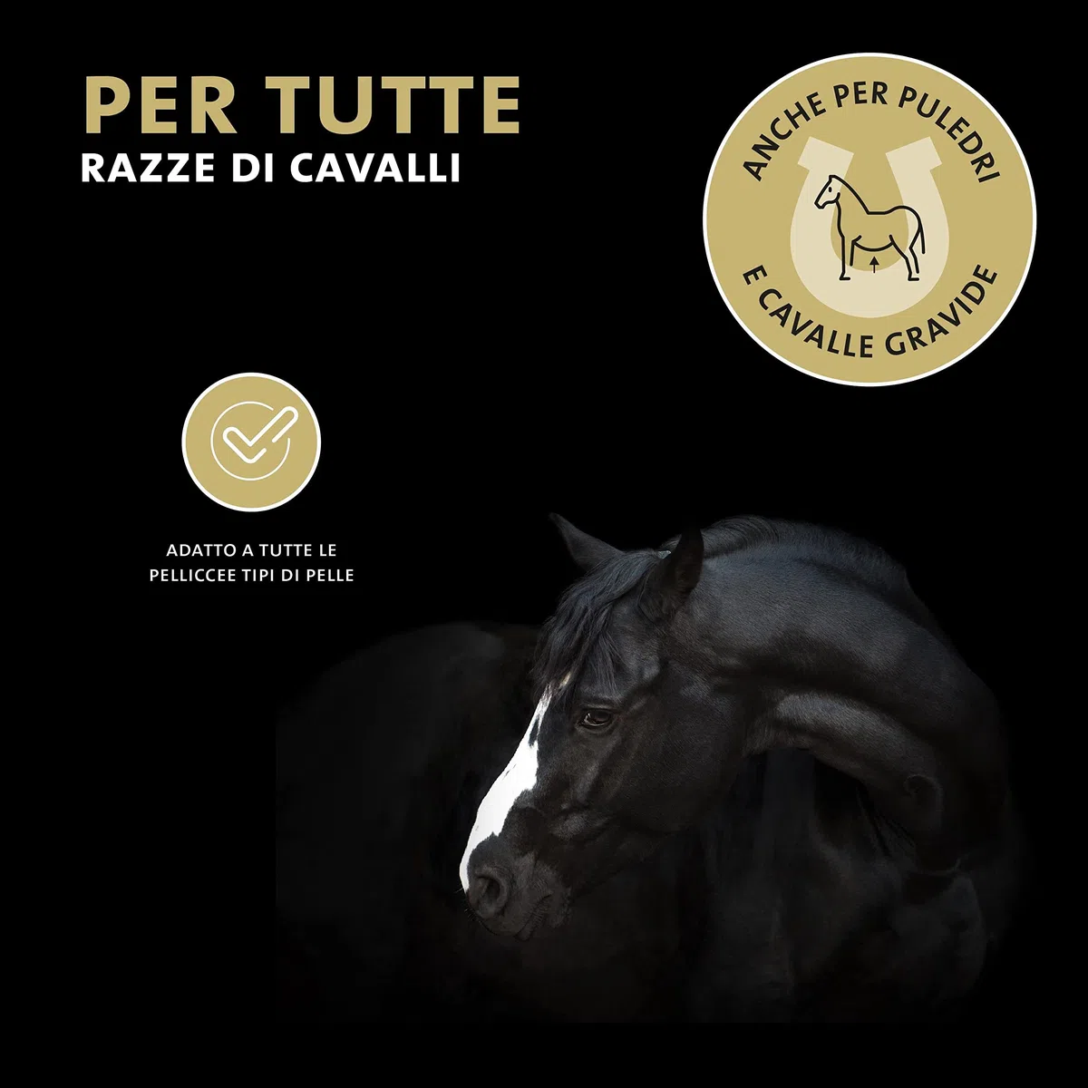 Peticare Shampoo Cavalli Prurito e Acari – Scudo Cura Immediata per Parassiti – Senza Insetticidi – con Eucalipto e Proteine della Seta – Shampoo Lenitivo
