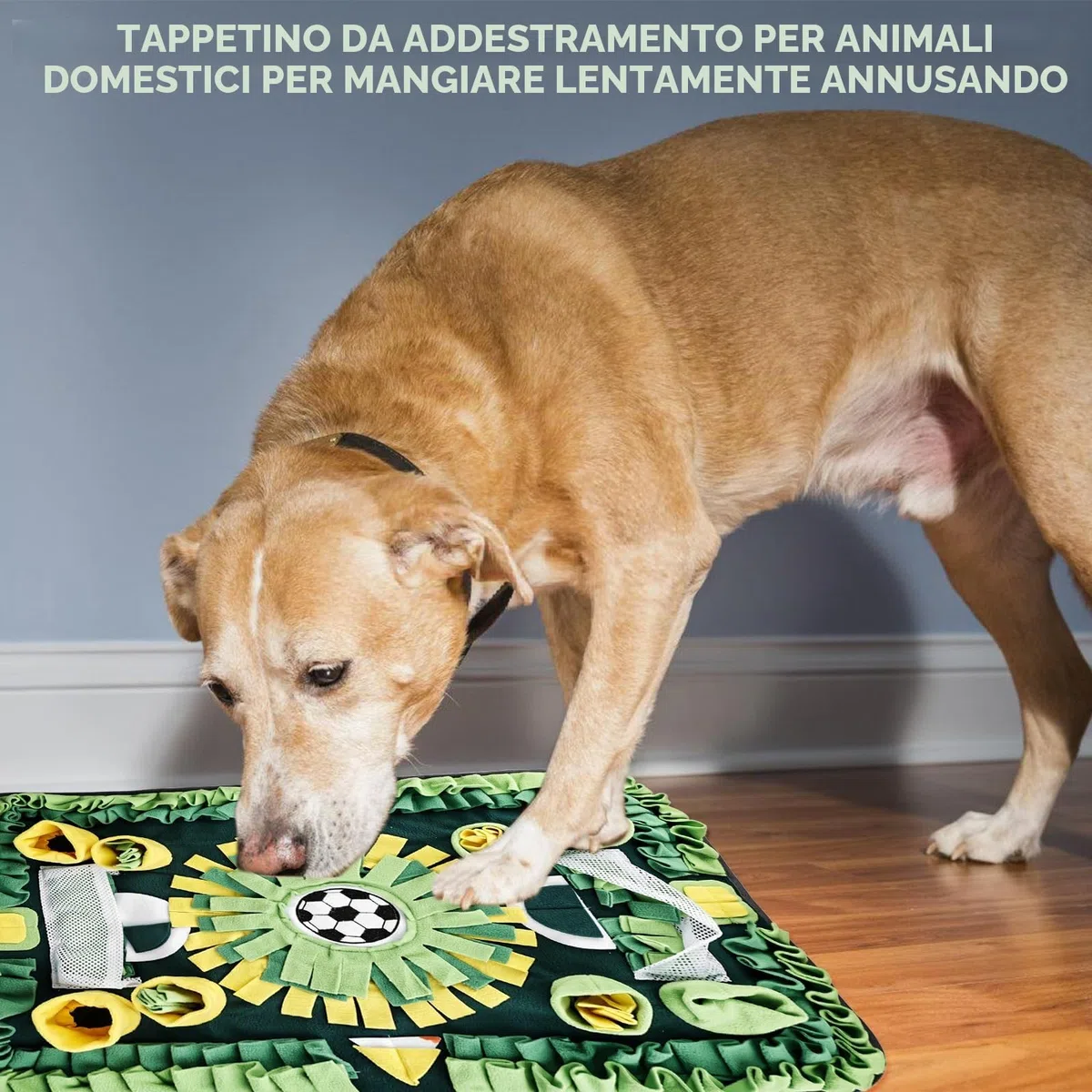 Molbory Tappeto da Fiuto per Cani di Grandi Dimensioni - Giocattolo Intelligente, Coperta Antiscivolo per Cani e Gatti, 73 x 50 cm