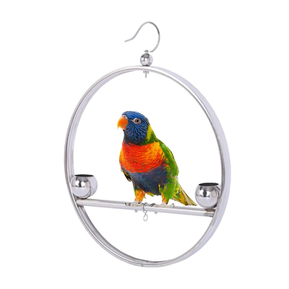 Altalena rotonda per pappagalli, in acciaio inox, supporto per addestramento per pappagalli e uccelli, accessori per animali domestici, antiruggine, con gancio, per gabbie, finestre, balconi