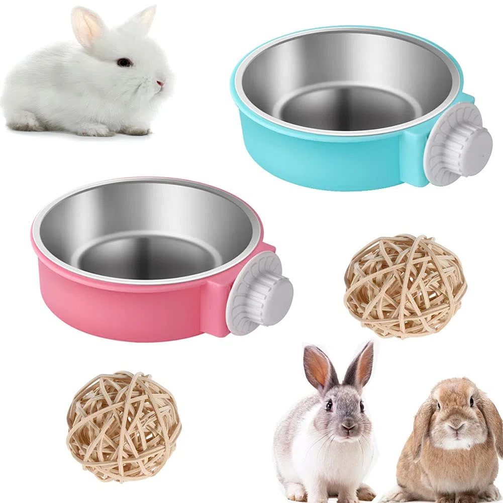 Set di ciotole per coniglio, ciotola per gabbia per piccoli animali e ciotola sospesa in acciaio inox per coniglio, cincillà, porcellino d'India, ciotola per criceto