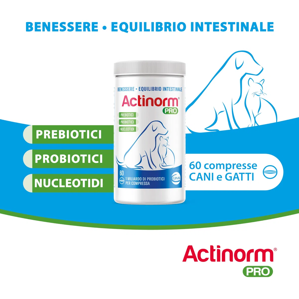 Actinorm Pro - Bioregolatore naturale della funzionalità intestinale per cani e gatti, 60 Compresse