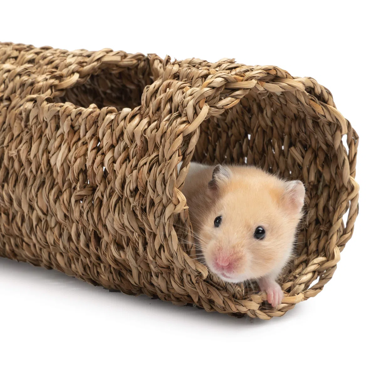 Niteangel Tunnel creativo e componibile per criceti, fai da te e costruisci una tana a tubo unica come nascondiglio per animali di piccole dimensioni come criceti, topi, gerbilli (19,1 cm L - HC)