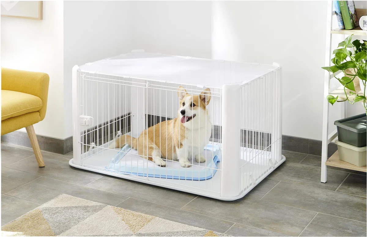 Iris Ohyama, Box, Cassa per cani, Coniglio, Porta scorrevole, L113 x P78,8 x H60 cm, CLS-1130, Bianco