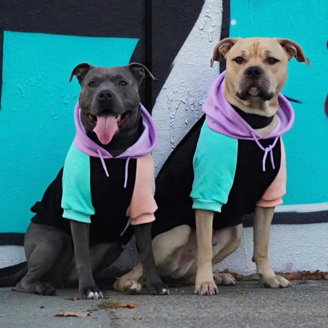 Spark Paws Felpa con Cappuccio per Cani – Maglione Premium per Cani di Piccola, Media e Grande Taglia | Abbigliamento Caldo per Bulldog Francesi, Pitbull, Cuccioli, Alternativa alla Giacca Invernale