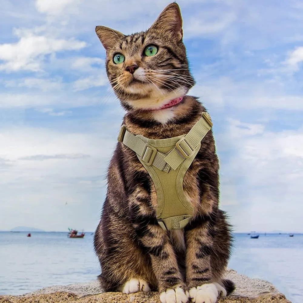 DONGKER Pettorina per Gatti Tattica,Imbracatura per Gatto Regolabili con Fibbia ad Anello a D Kit Pettorine Impermeabile per Animali Allenamento Sportivo All'aria Aperta