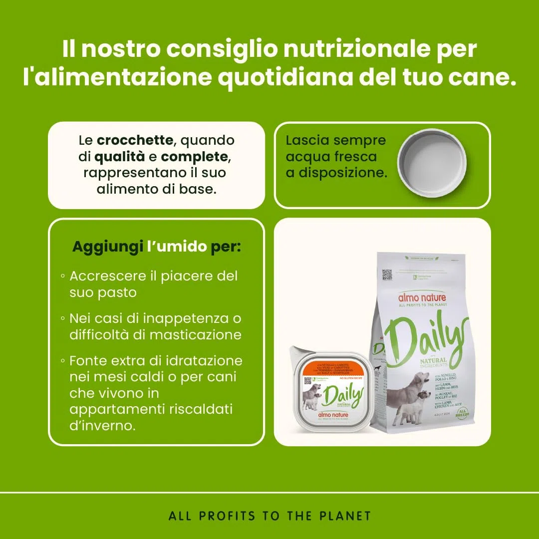 Almo Nature Daily, Alimento Umido per Cani Adulti con Vitello e Carote - 100g, Confezione da 32