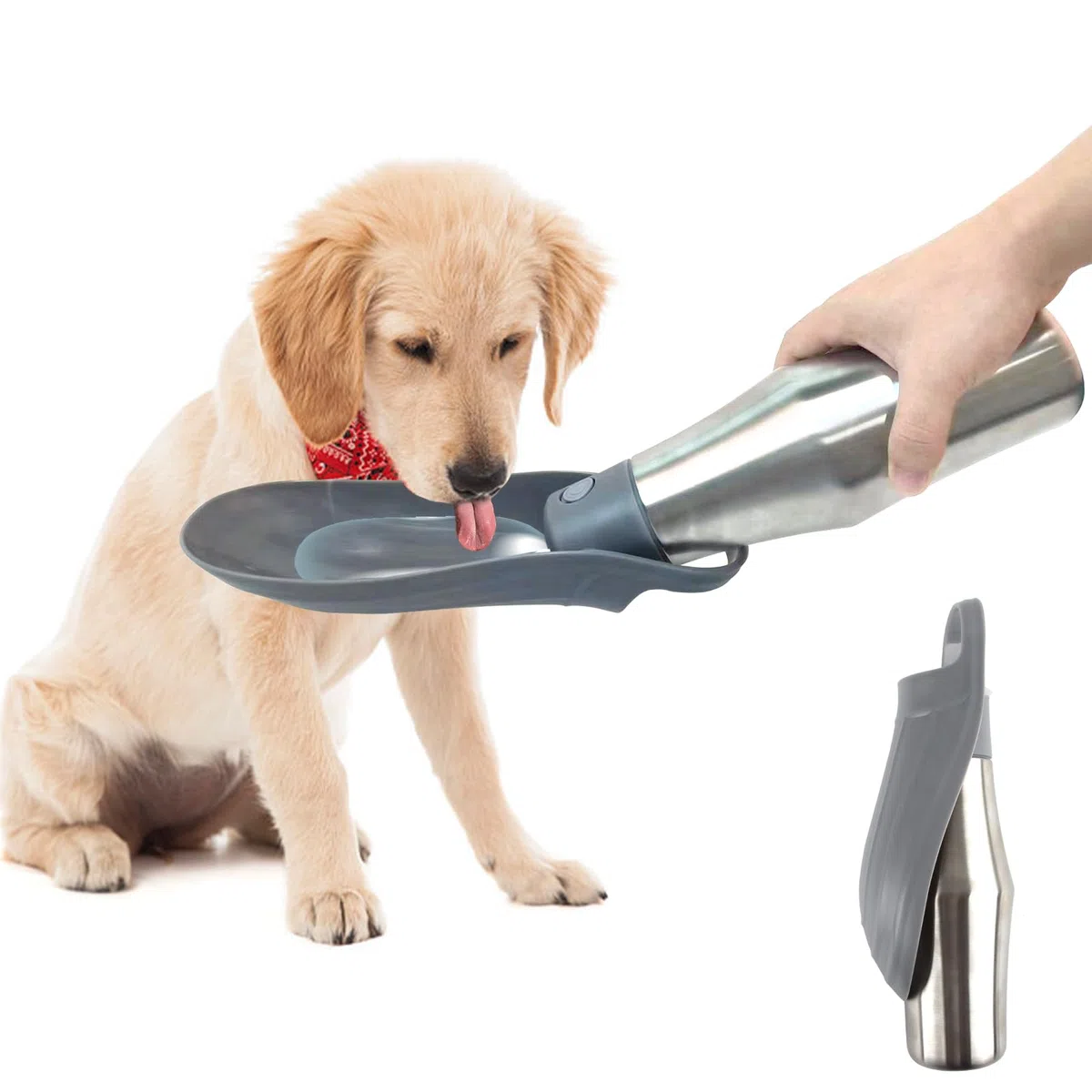 ZoneYan Borraccia Portatile per Cani 750 ml, Dispenser Acqua da Viaggio, Erogatore in Acciaio Inox a Prova di Perdite (Grigio)
