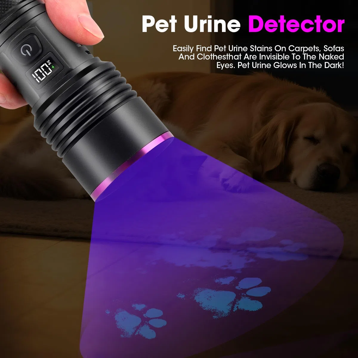 Torcia UV 20W 365NM Luce Nera Torcia con USB Ricaricabile Luce UV 7000mAh Lampada per Animali Domestici Rilevamento Urine Ricerca Ambra Scorpione Resina Vetro Urango