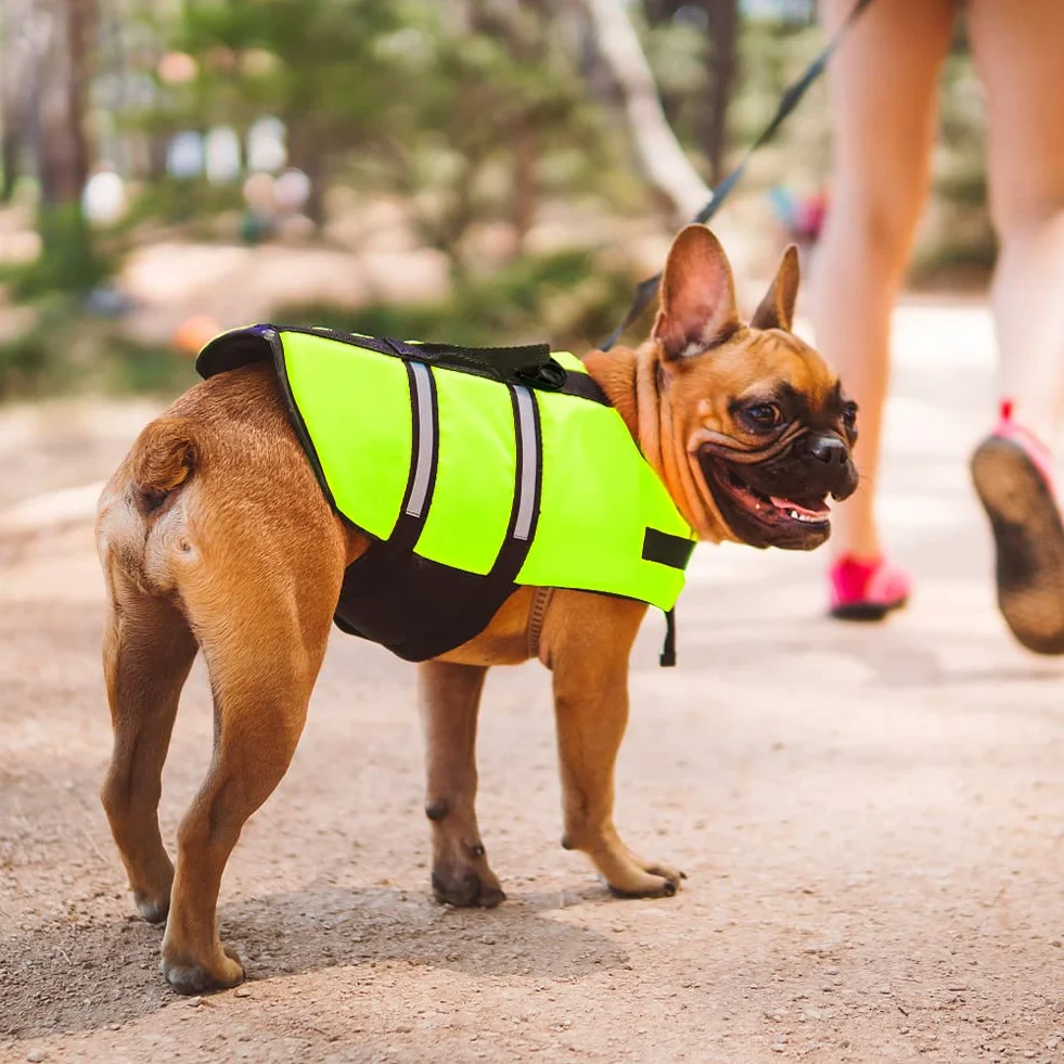Giubbotto di salvataggio per cani, piccolo, per cani con forte galleggiamento per il salvataggio di emergenza (verde M)